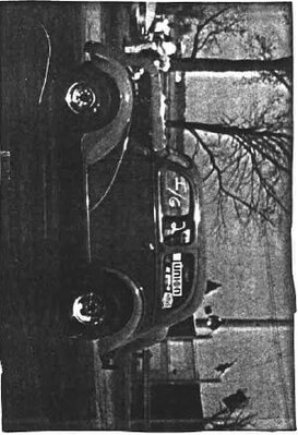 Art Fenice Anglia.JPG