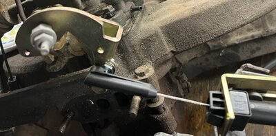 IMG_4693 Medium.jpeg