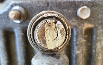 Honda Strut (2) s.jpeg