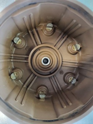 Tan Slant Caps (1) s.jpeg